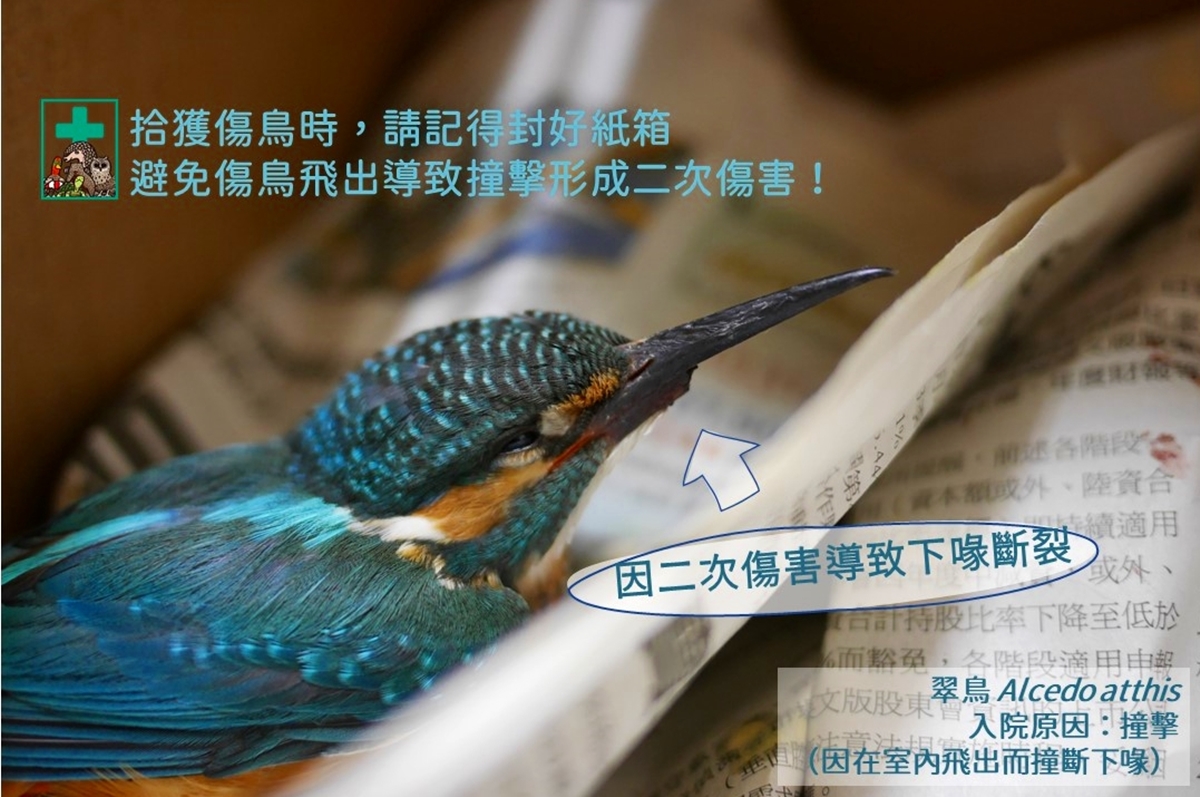 265259150_4514145915365106_3213825379898428806_n