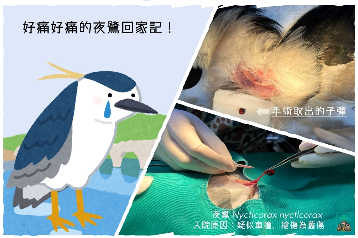 267105374_4529868543792843_4354200679252192813_n