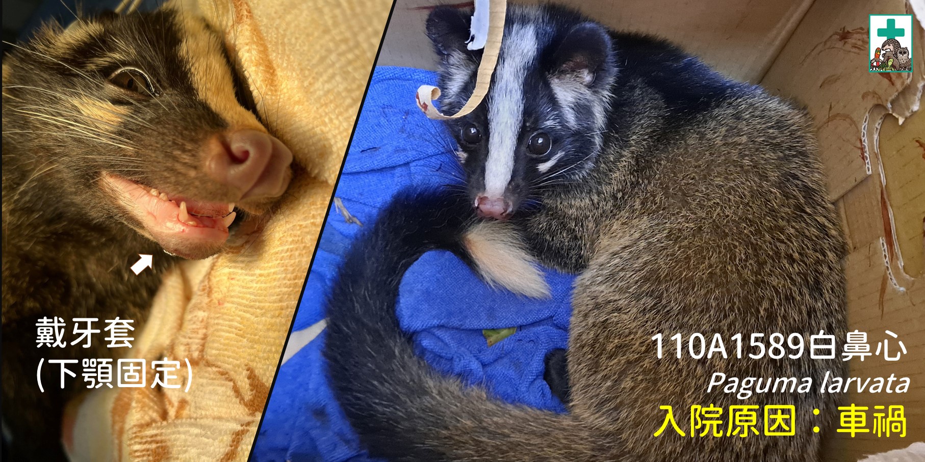 270001482_4595807970532233_3980679288120117212_n