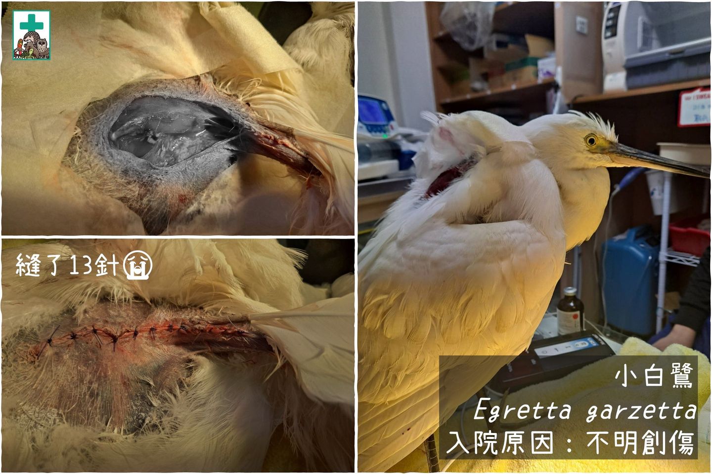 271179280_4619981304781566_1122712917641324745_n