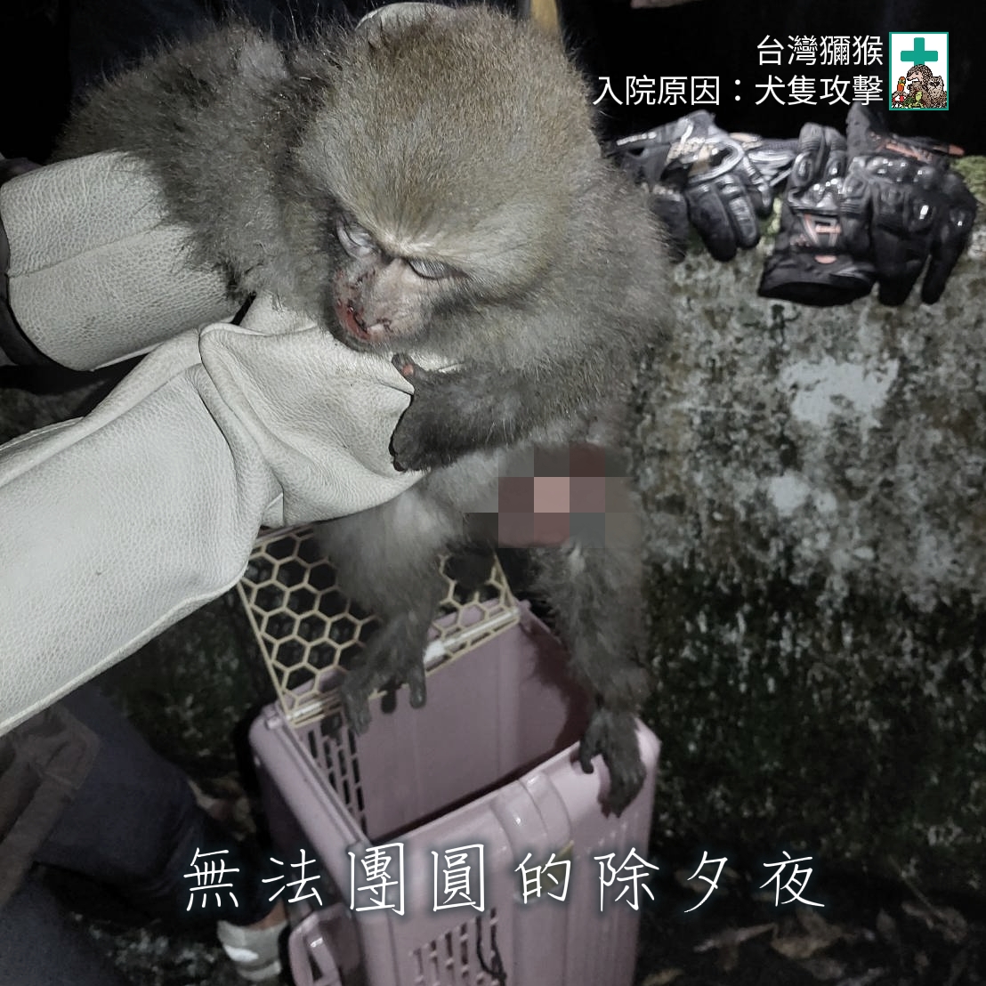 273126445_4721410147972014_1644054244249621086_n