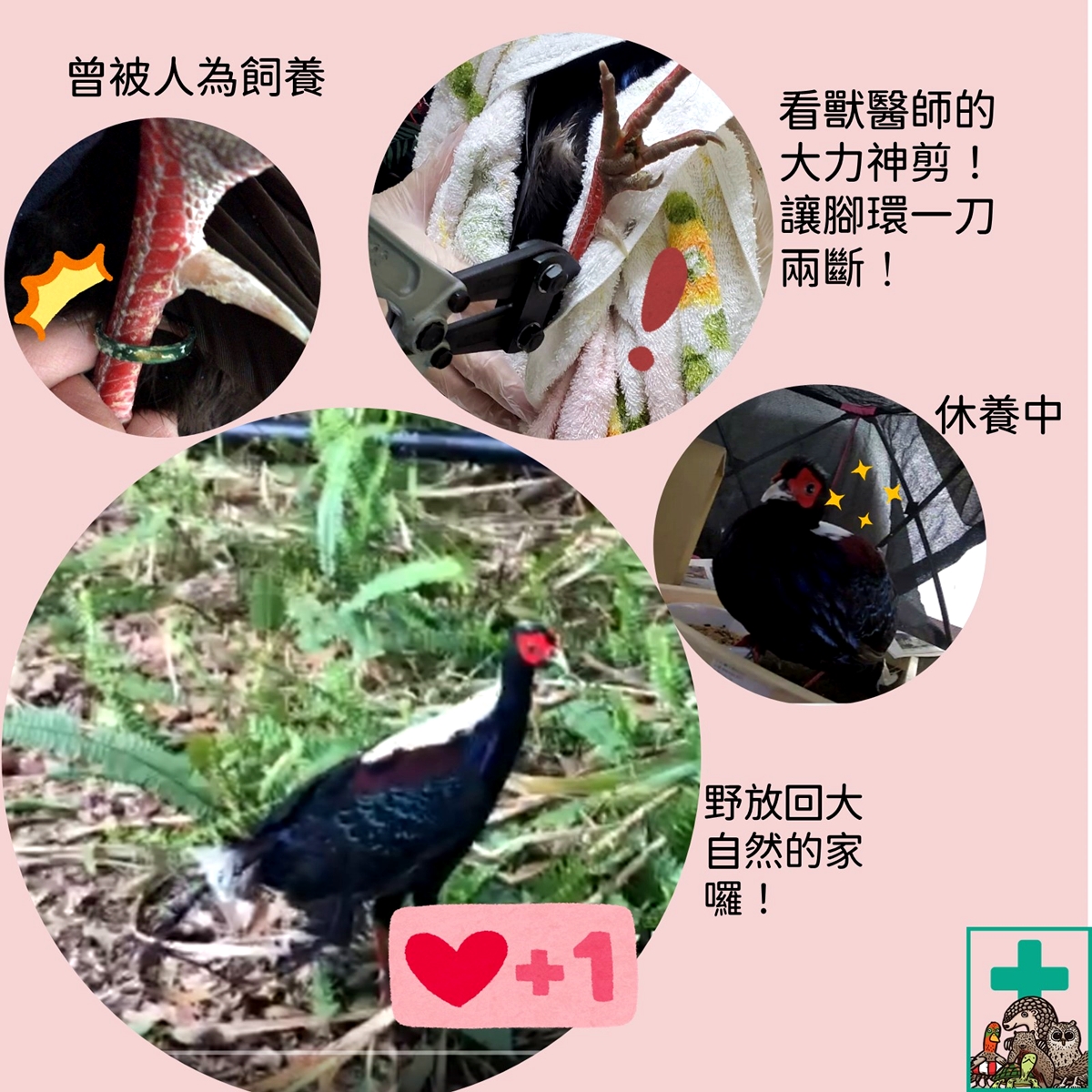 273585591_4749884435124585_1381479998576976311_n