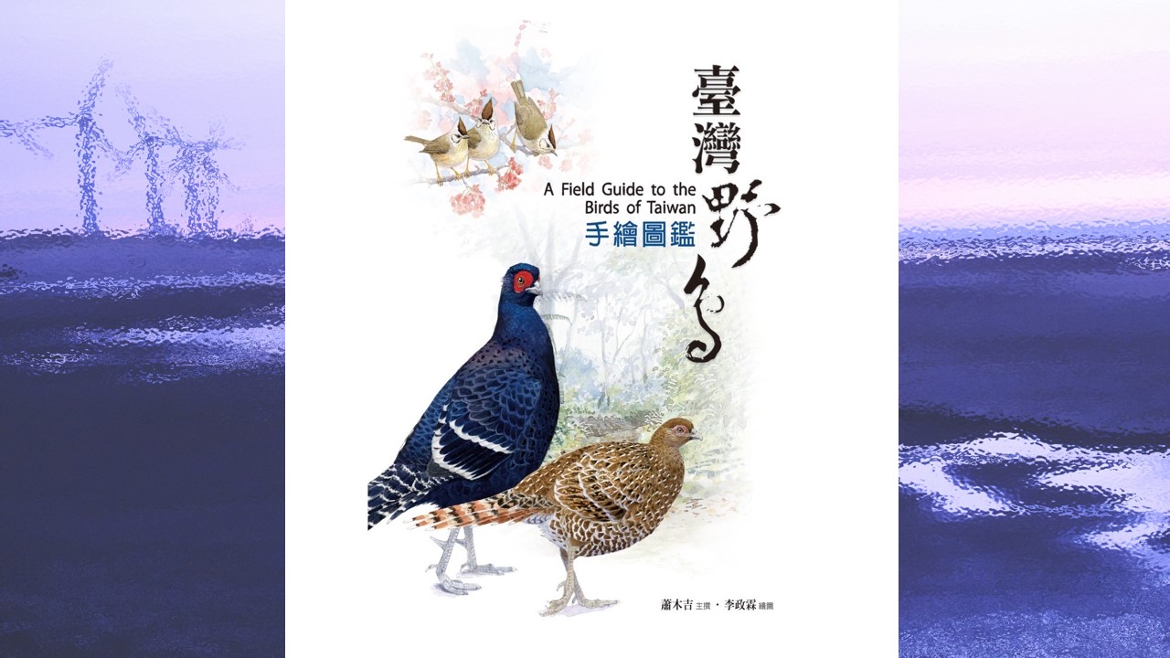 図鑑/ 臺灣野鳥手繪圖鑑（三版）台湾版 台湾野鳥イラスト図鑑図鑑