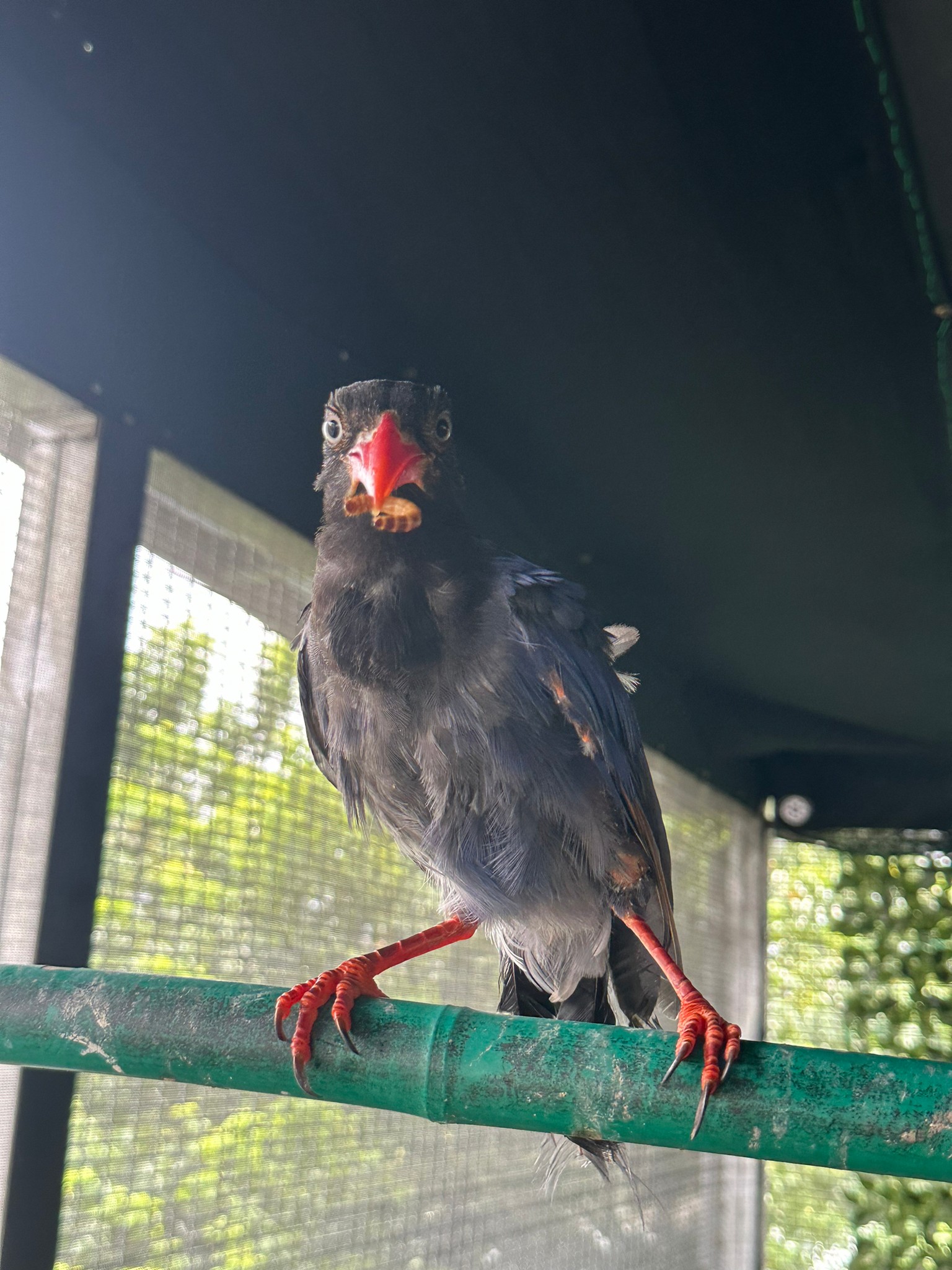 47EE1611-653D-4406-A0C8-9EF239CFEBBC