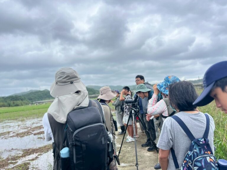 LINE_ALBUM_20251026 田寮洋賞鳥例行_251027_3
