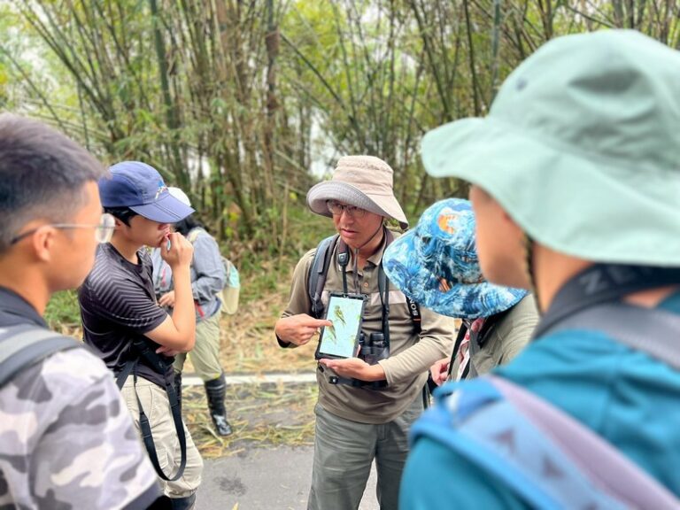 LINE_ALBUM_20251026 田寮洋賞鳥例行_251027_4