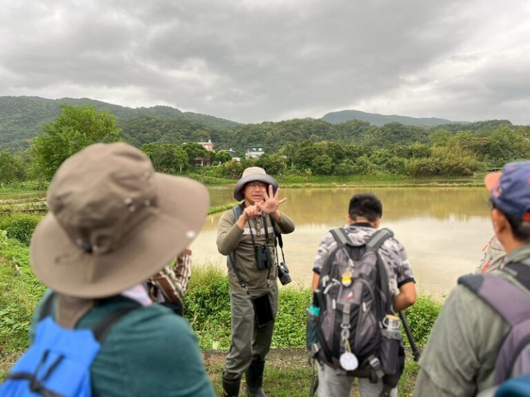 LINE_ALBUM_20251026 田寮洋賞鳥例行_251027_7