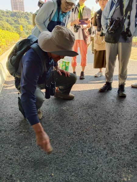 大嵙崁例行活動_250914_7