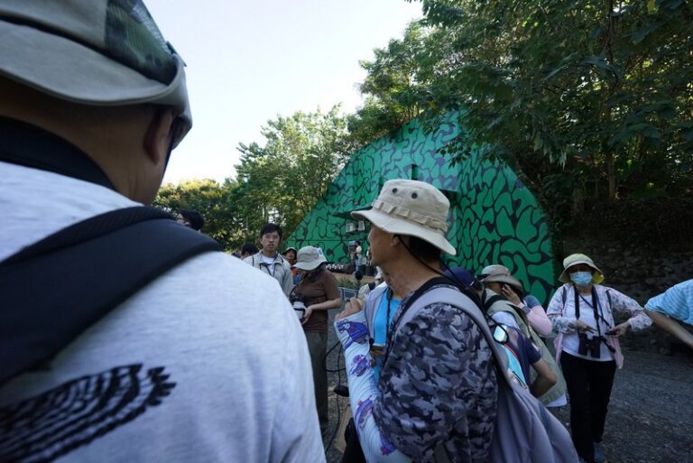 大湳森林公園例行活動_251004