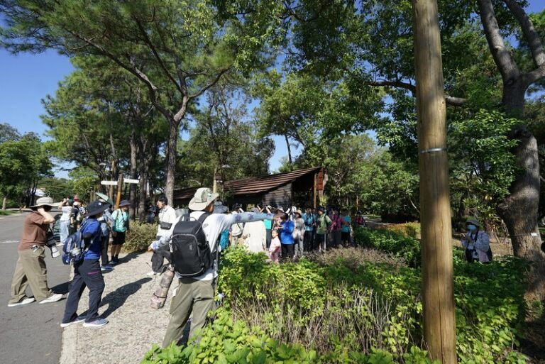 大湳森林公園例行活動_251004_9