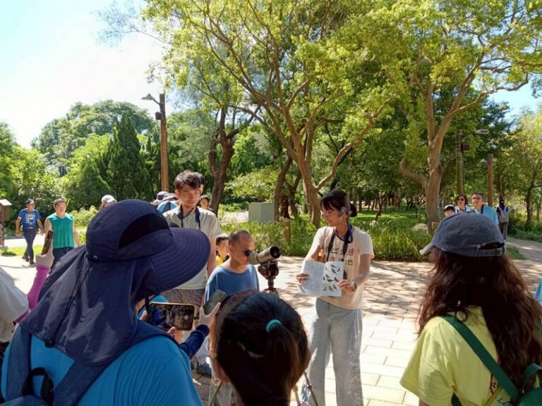 大湳森林公園例行活動_250906