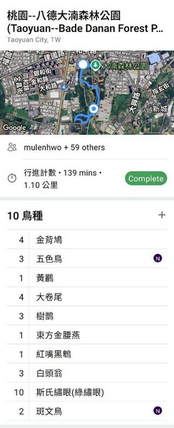 大湳森林公園例行活動_250906