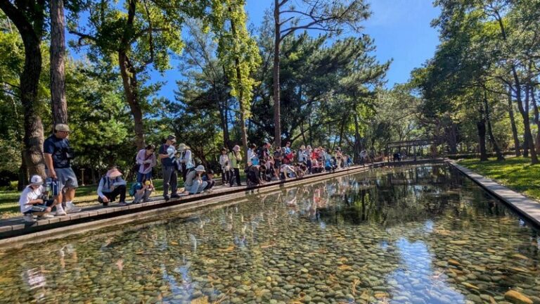 大湳森林公園例行活動_250906_12