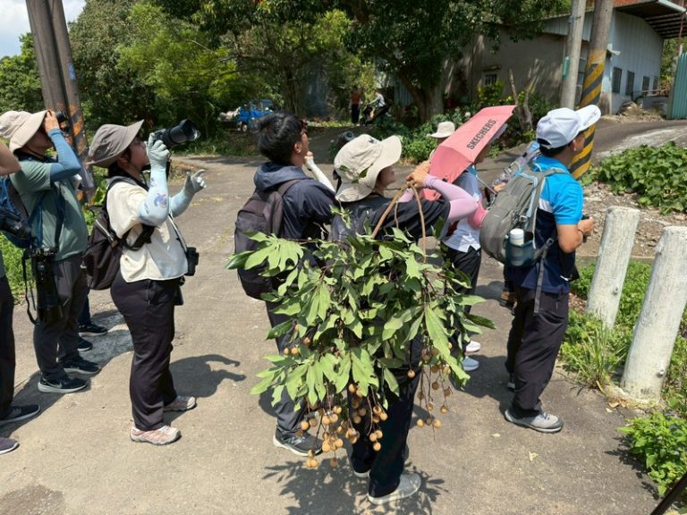 龍潭清水坑例行活動_250817_2
