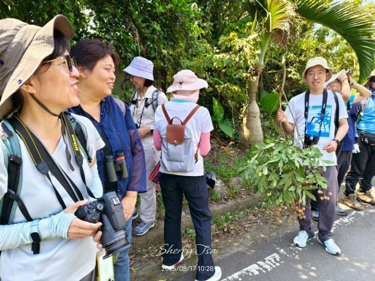 龍潭清水坑例行活動_250817_27