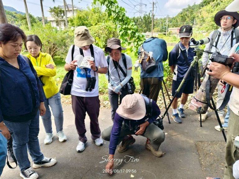 龍潭清水坑例行活動_250817_28