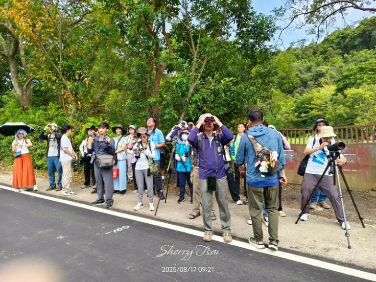 龍潭清水坑例行活動_250817_29