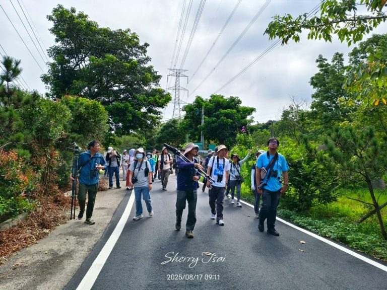 龍潭清水坑例行活動_250817_30