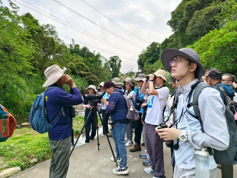龍潭清水坑例行活動_250817_32
